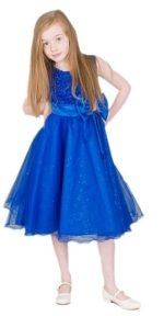 EXTENDED SALE Girls Sparkle Bow Dress Royal