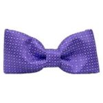 Accessories Purple Dot Bow Tie