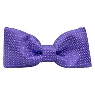 Boys Purple Dot Bow Tie