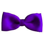 Boys Purple Satin Bow Tie