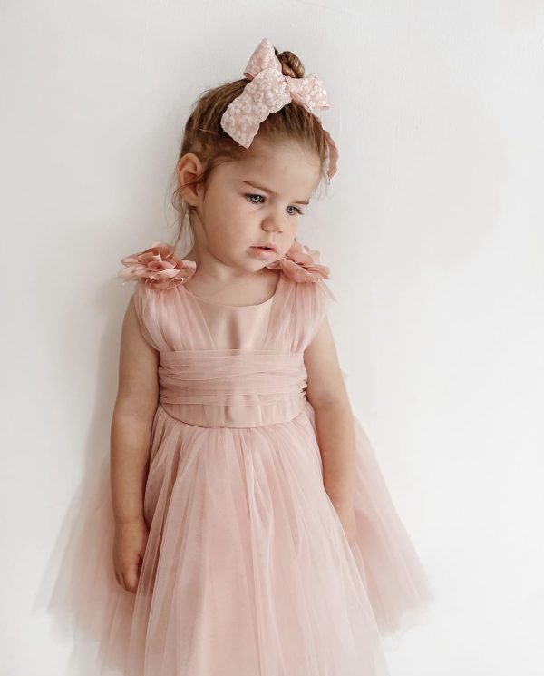 Baby Girls Dresses Girls Pink Rose Sash Dress