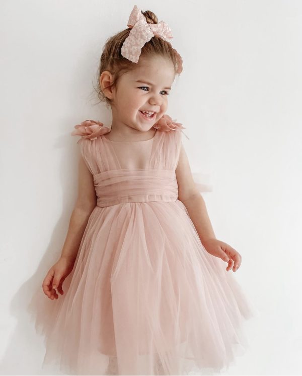 Baby Girls Dresses Girls Pink Rose Sash Dress