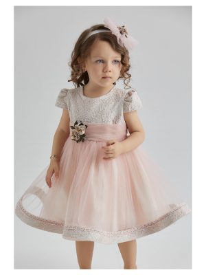 Baby Girls Dresses Girls Sophia Dress Pink