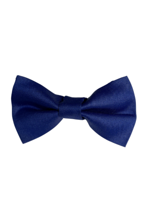 Accessories Navy bow tie