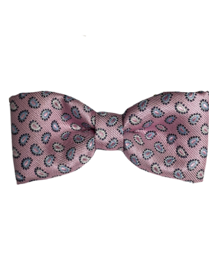 Accessories Silver large paisley bow tie
