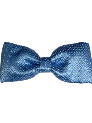 Accessories Blue dot bow tie