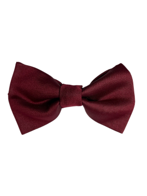 Accessories Red large paisley bow tie