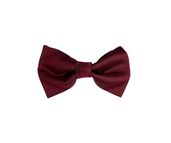 Accessories Burgundy bow tie