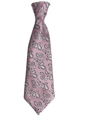 Accessories Blue Large Paisley Elasticated Tie