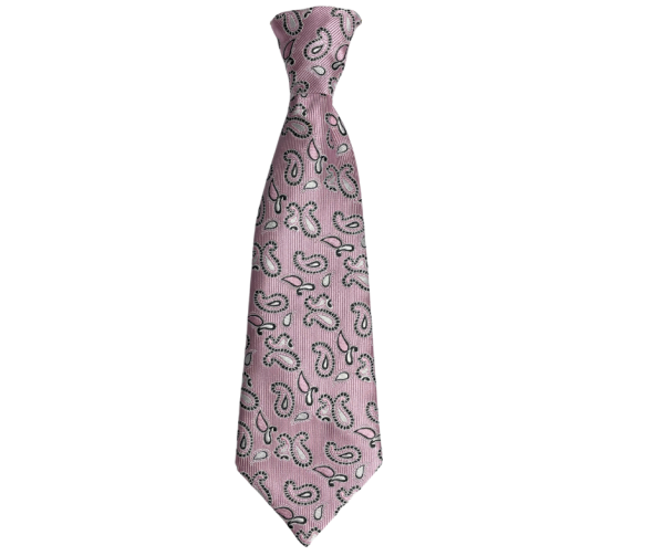 Accessories Pink Large Paisley Elasticated Tie