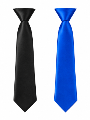 Satin Elasticated Tie