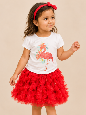 Girls 2 pc Flamingo Outfit