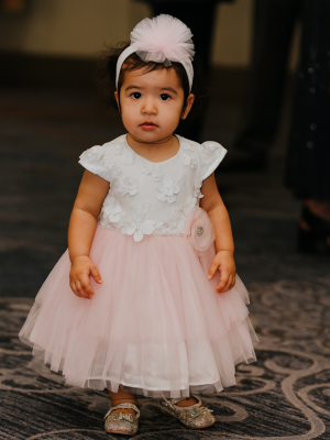 Girls ivory / Pink Butterfly Dress