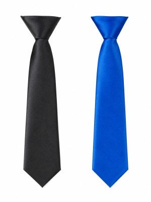Satin Elasticated Tie