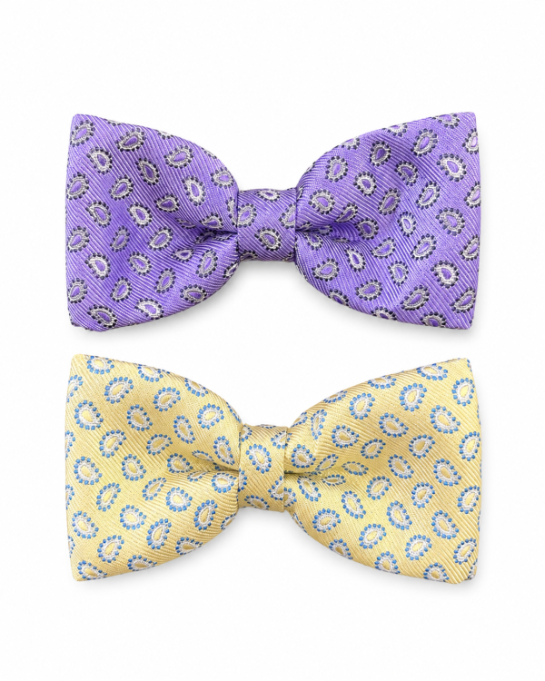 Small paisley bow tie