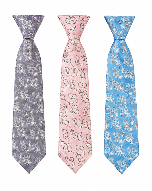 large paisley elasticated tie